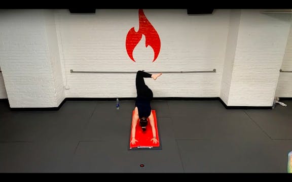 Kaitlyn Twists, twists, & more twists...