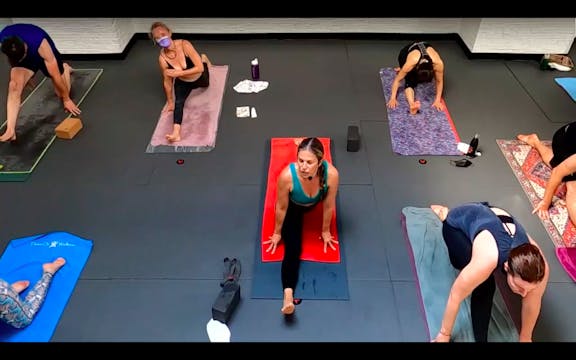 Lexy Chin Stand Chasing the Magic Flo...