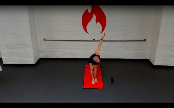 Reed Side Crow Flow - Wed 12/2