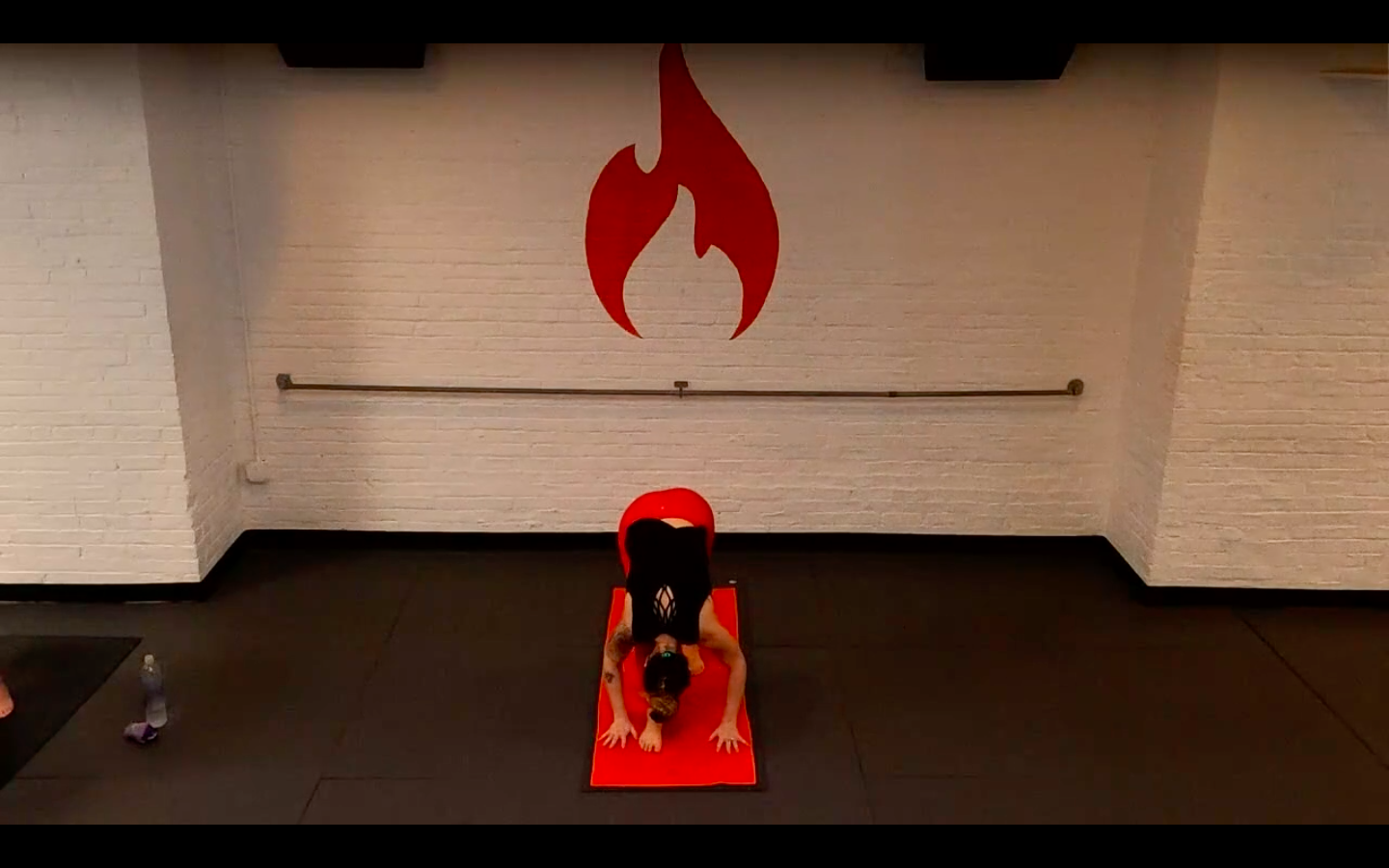 Ashley Core Bird of Paradise Flow - Sat 12/26 