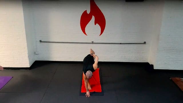 Reed Flying Splits Flow - Sun 12/27