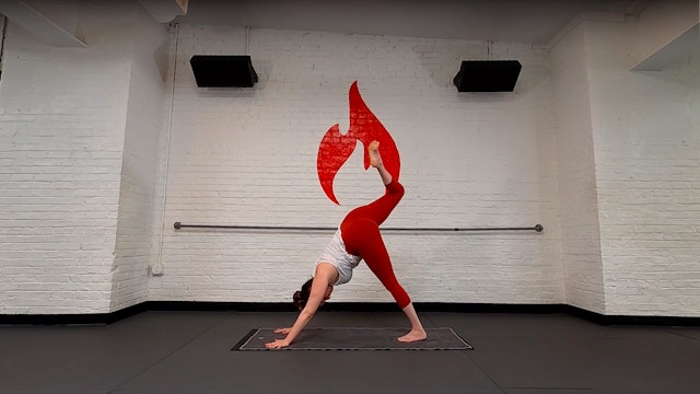Julia 45 Minute Full Body Flow