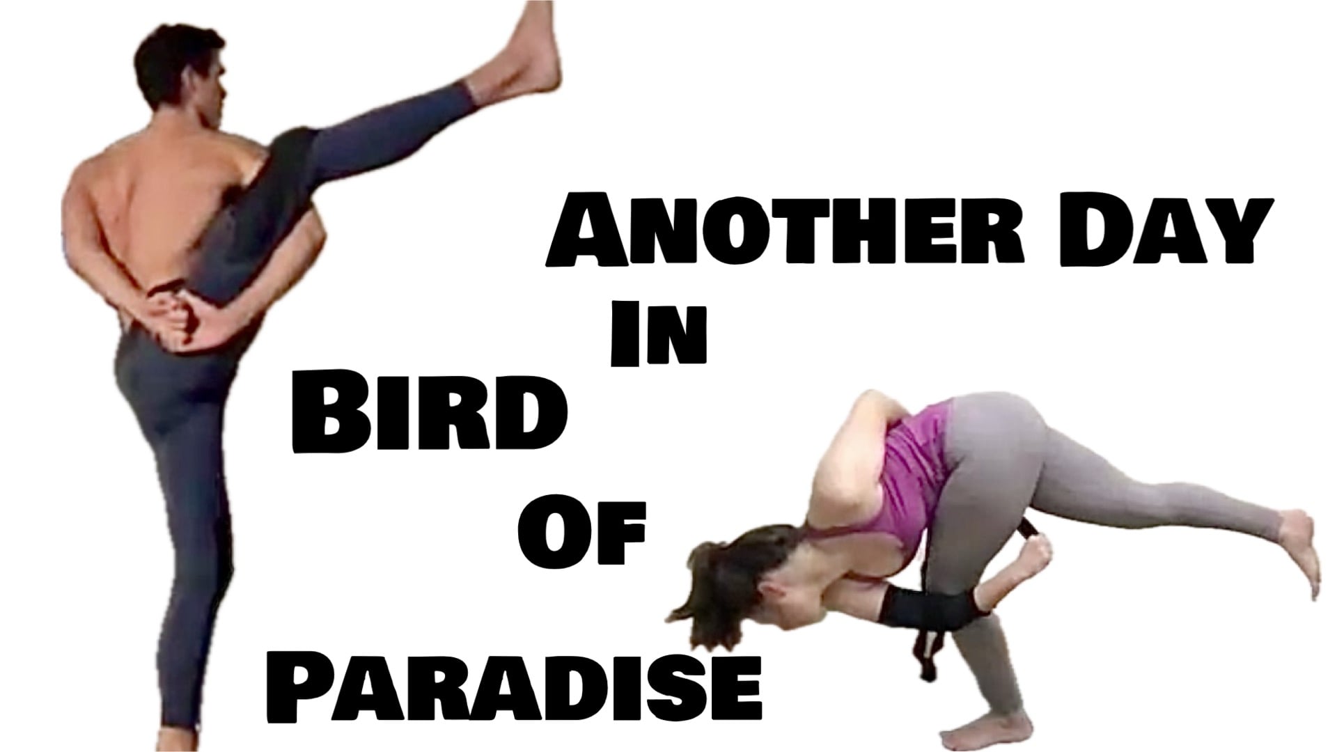 Level Two/Three Live with Melissa and Grant - Another Day in Bird of Paradise (Moderately Challenging Yoga) [1:34]
