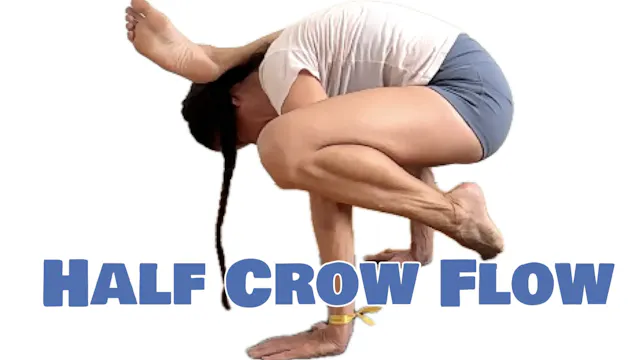 Half-Crow Flow (Level Three - Challen...