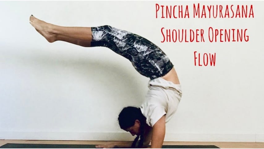 Pincha Mayurasana Shoulder Opening Flow (Level Two/Three - Moderate Challenge Yoga) [1:19]
