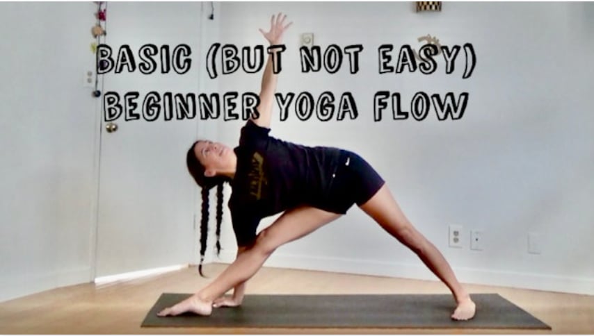 Yoga Fundamentals for Beginners (Level One - Moderate Challenge Yoga) [1:31]