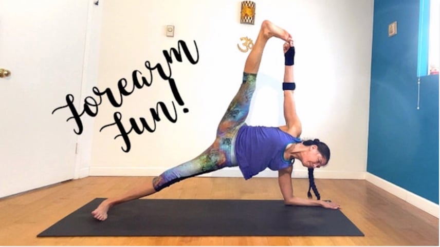 Forearm Fun (Level Two/Three - Moderate Challenge Yoga) [1:19]