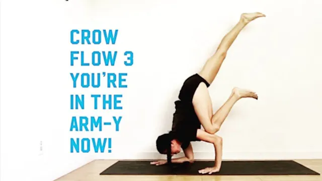 Crow Flow III - Arm-y Boot Camp (Leve...