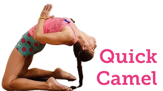 Quick Camel (Level Two/Three - Modera...