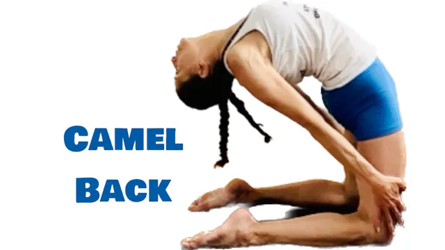 Camel Back (Level Three - Challenging...