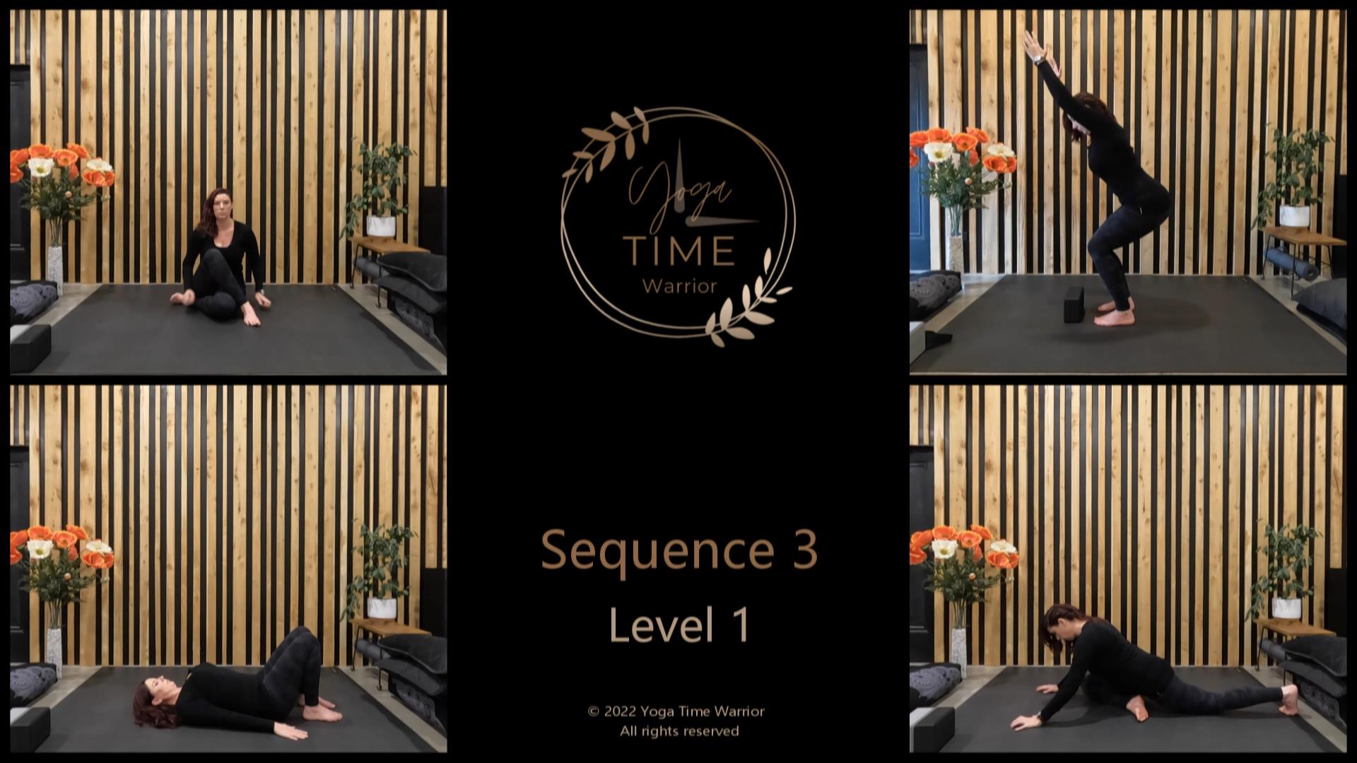 Sequence 3 - Low Lunge | Four Limb Staff | One Leg Tiger | Crane | Forearm stand