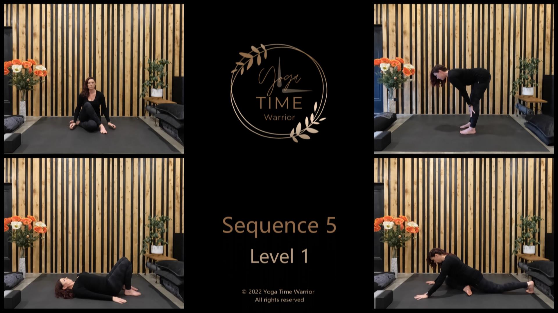 Sequence 5 - Triangle Side | Plank | Upward Facing Plank | Forearm Stand