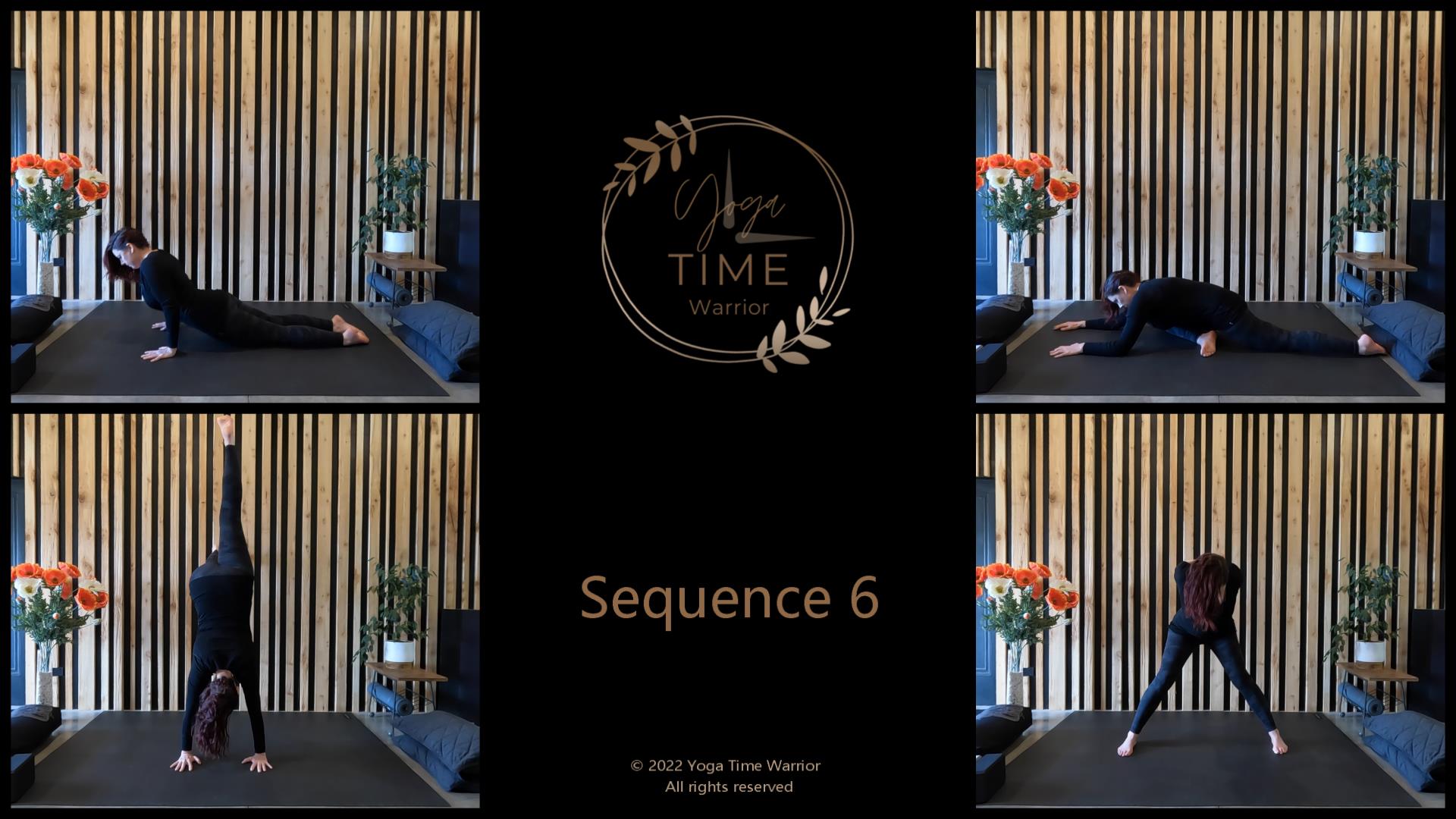 Sequence 6 - One Leg Hero | Lizard | Crane | Upward Table | Handstand