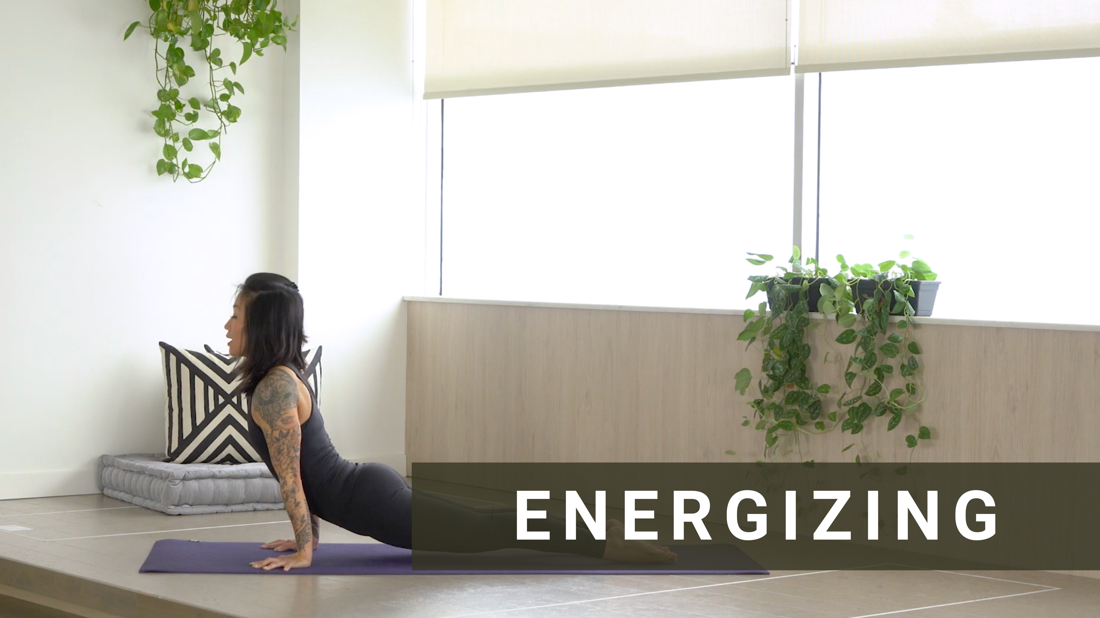 Trailer Flexibility, Balance, and Strength with Jaye