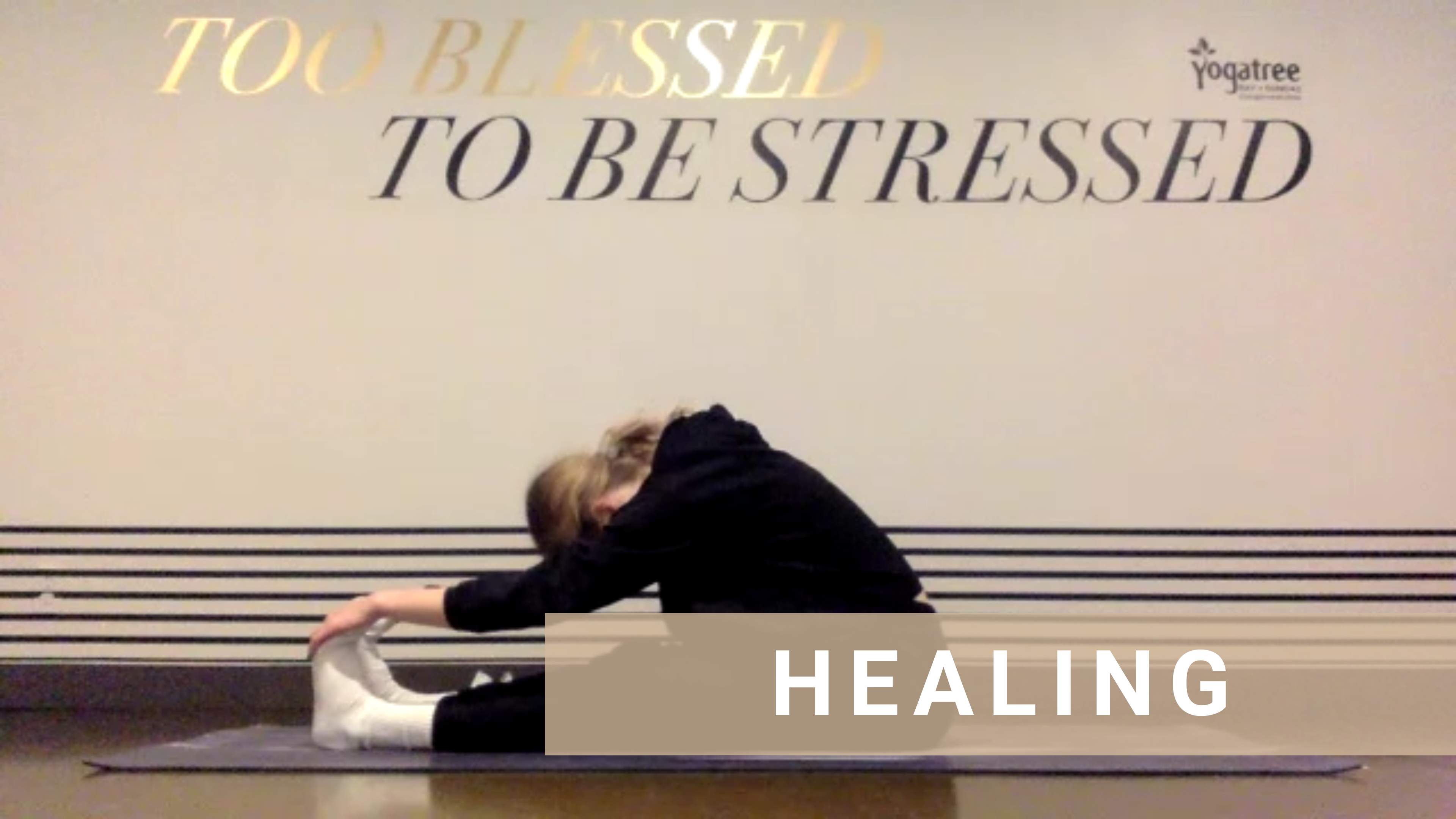 LIVE Yin Yoga with Chloe #7