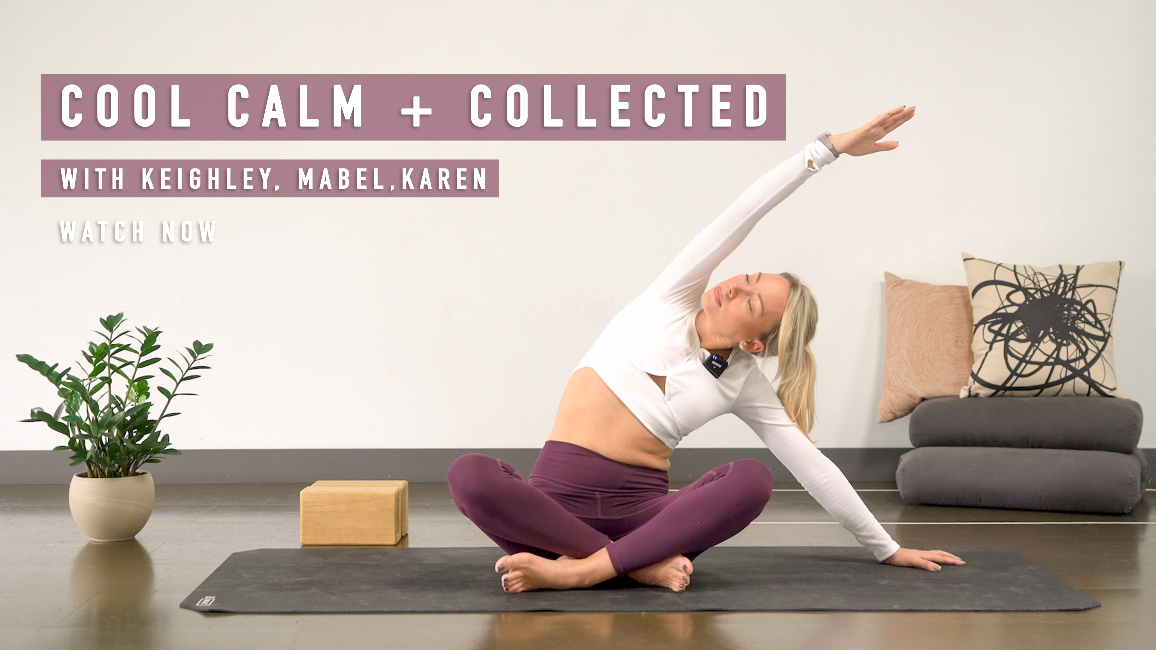 Mindfulness: Cool, Calm, and Collected