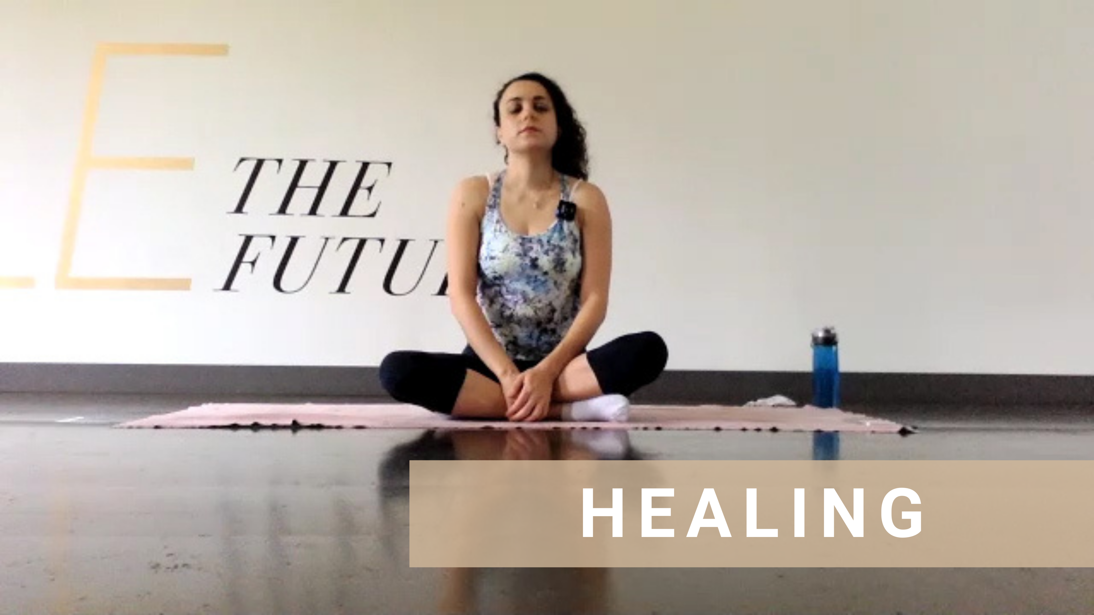 LIVE Yin Yang with Shima