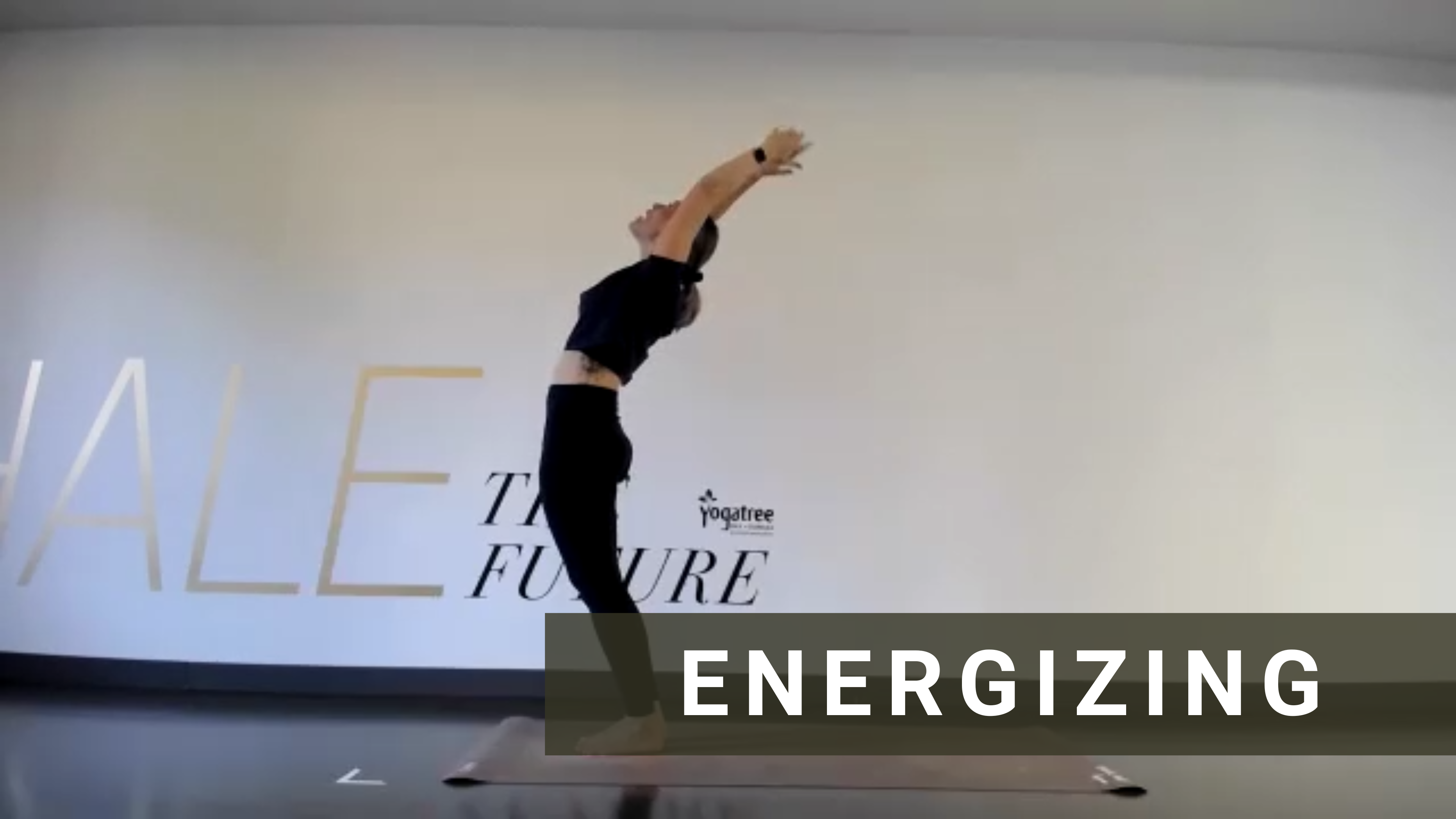 LIVE Vinyasa Flow with Kim #1