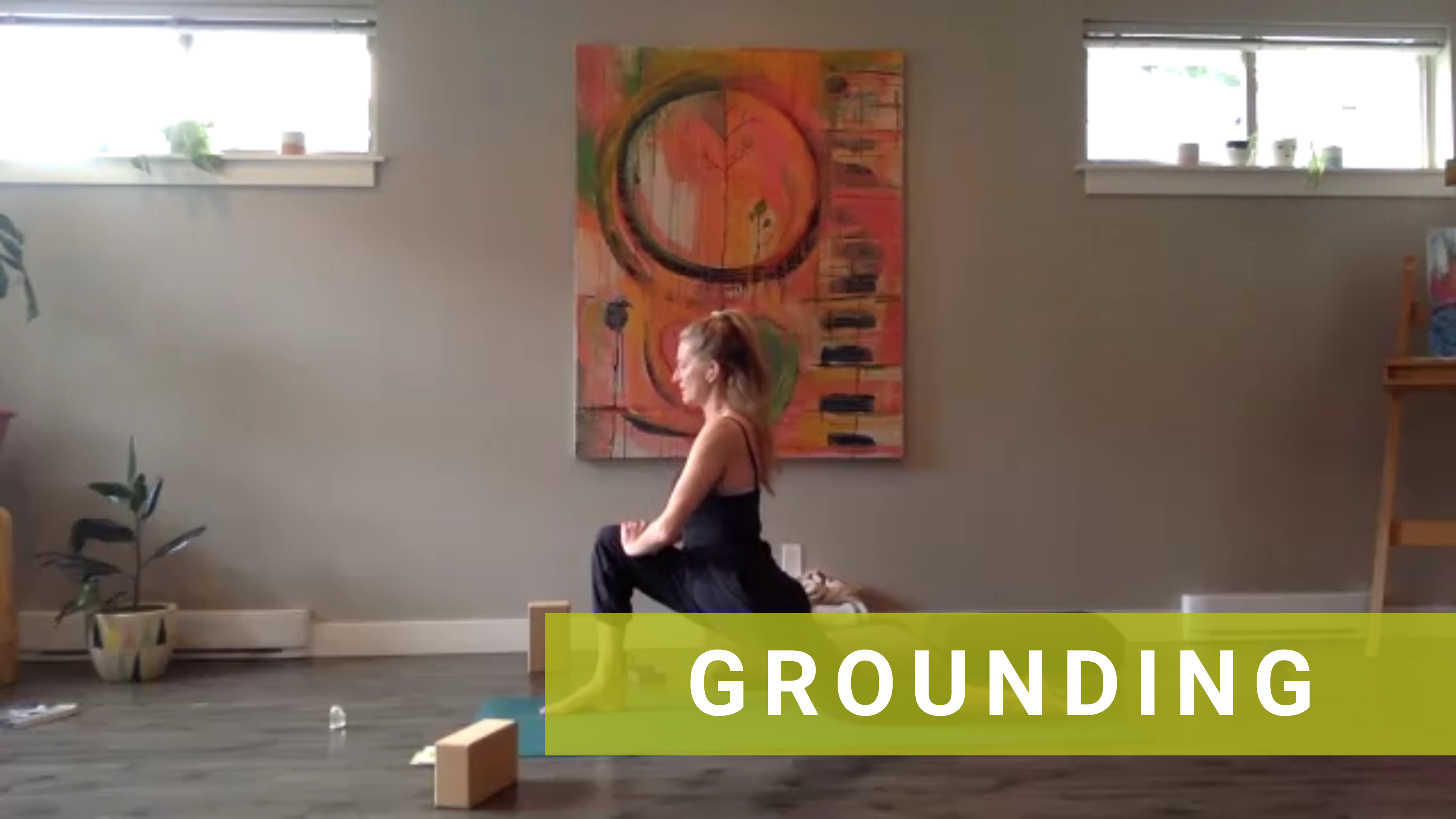 LIVE Gentle Hatha with Shannon #16