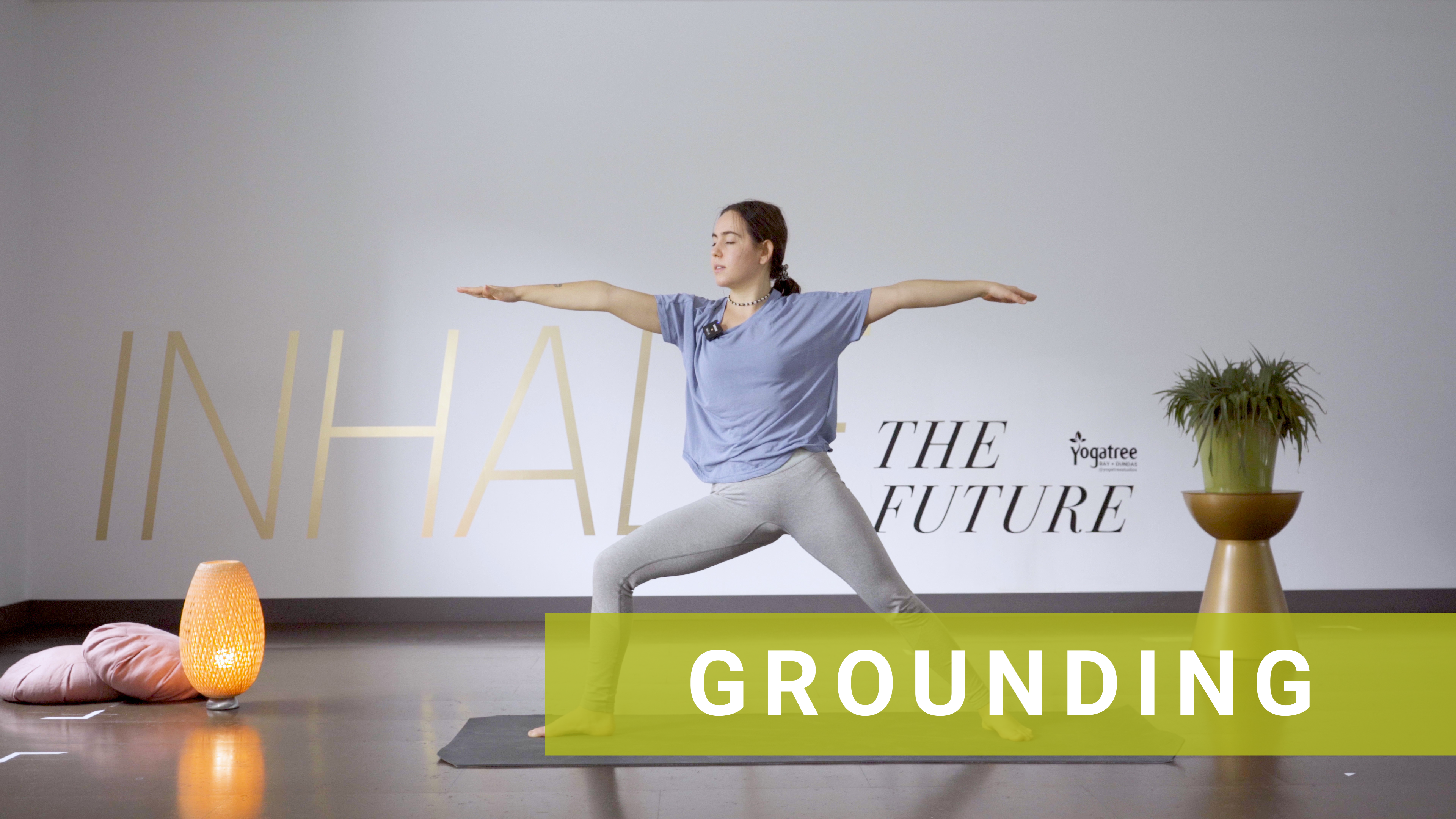 Grounding Flow with Jules