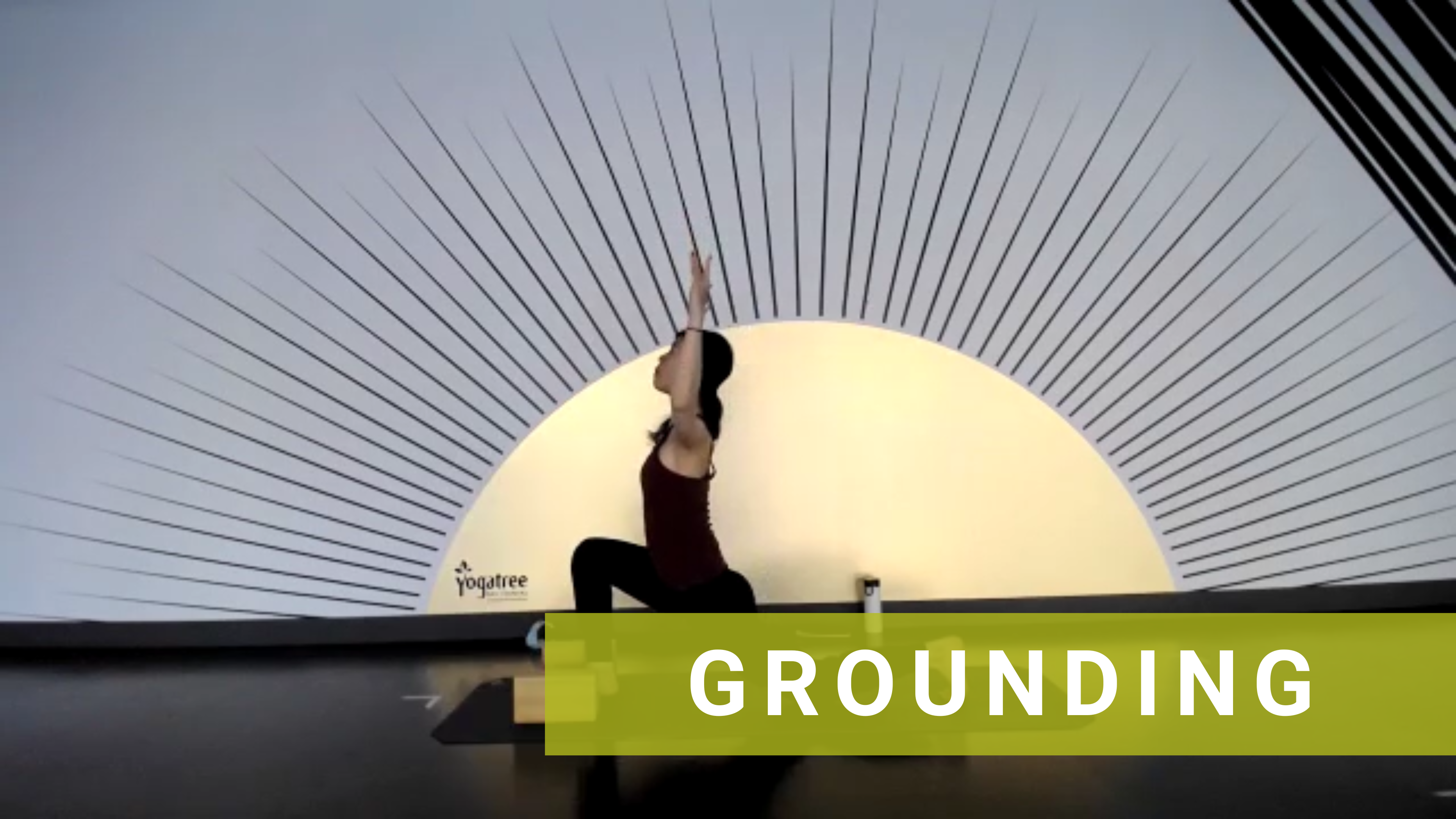 LIVE Hatha Flow with Michelle #8