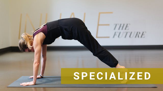 LIVE Beginner's Yoga with Shannon