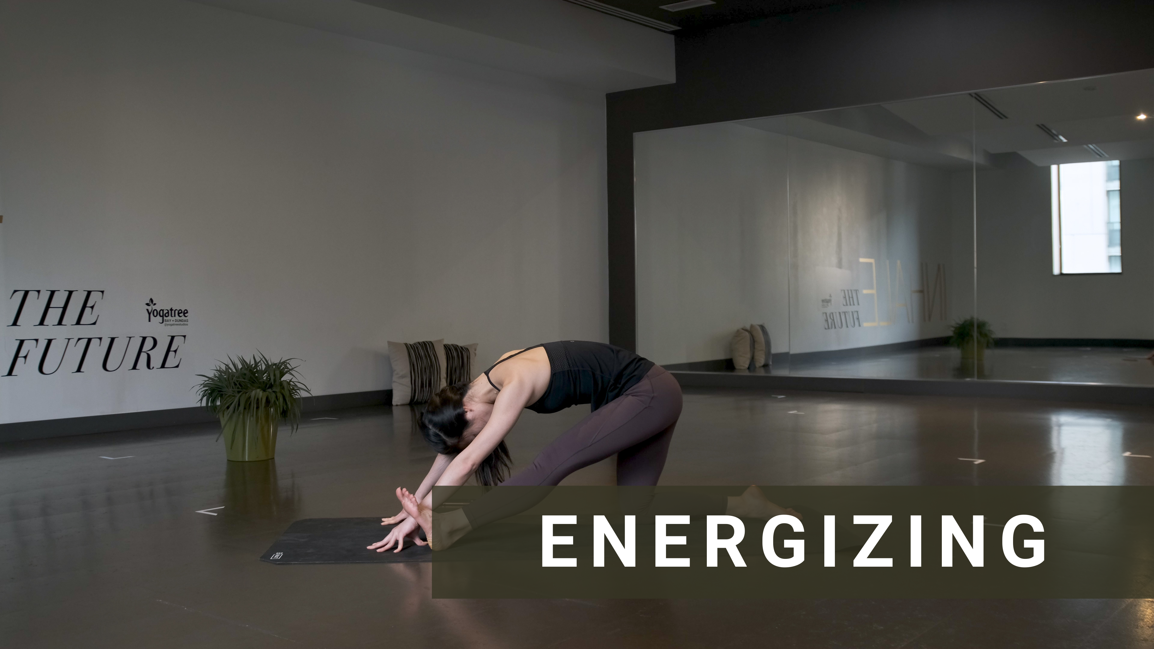 Core Stabilization Flow with Michelle