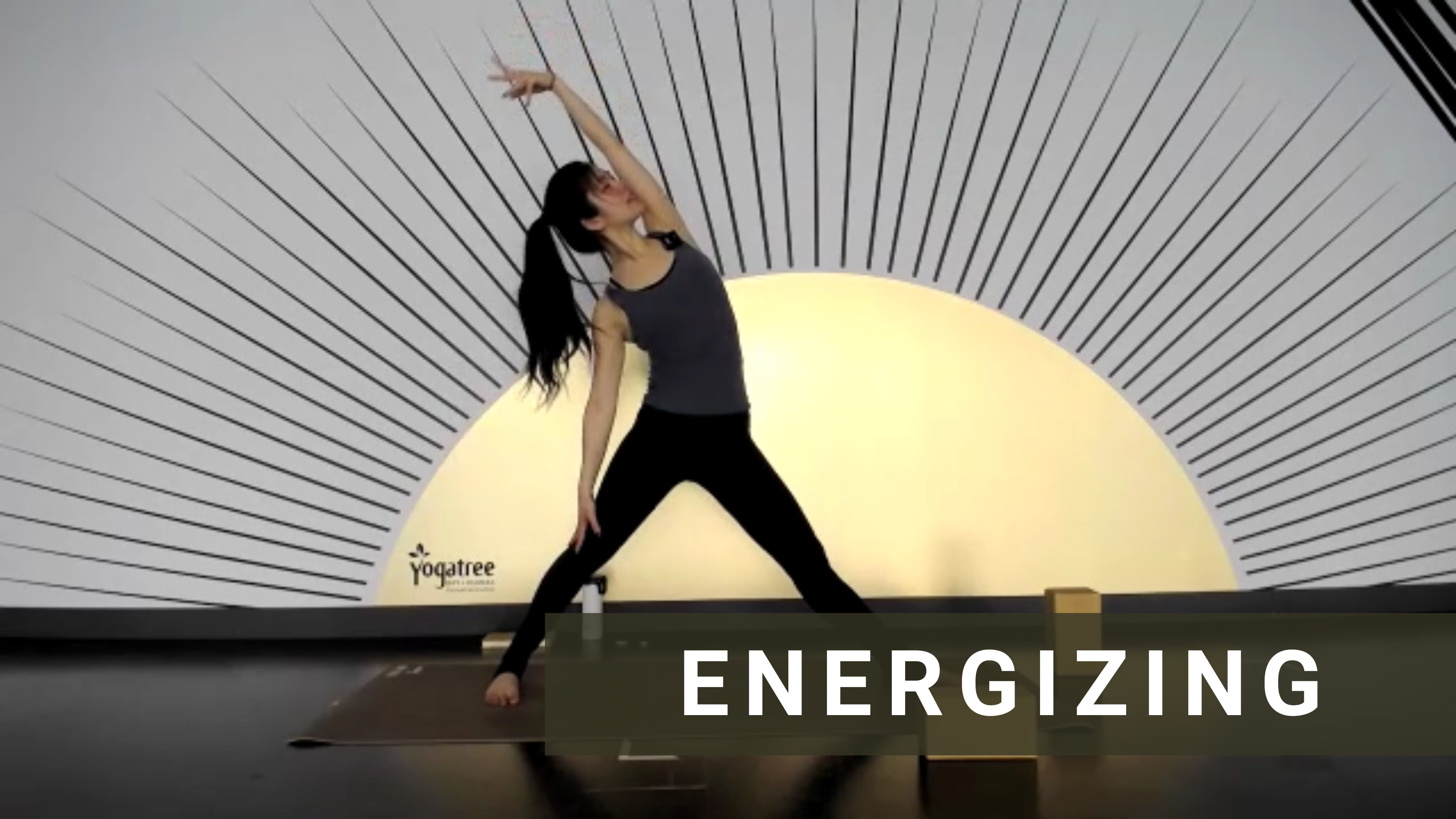 LIVE Vinyasa Flow with Michelle #1