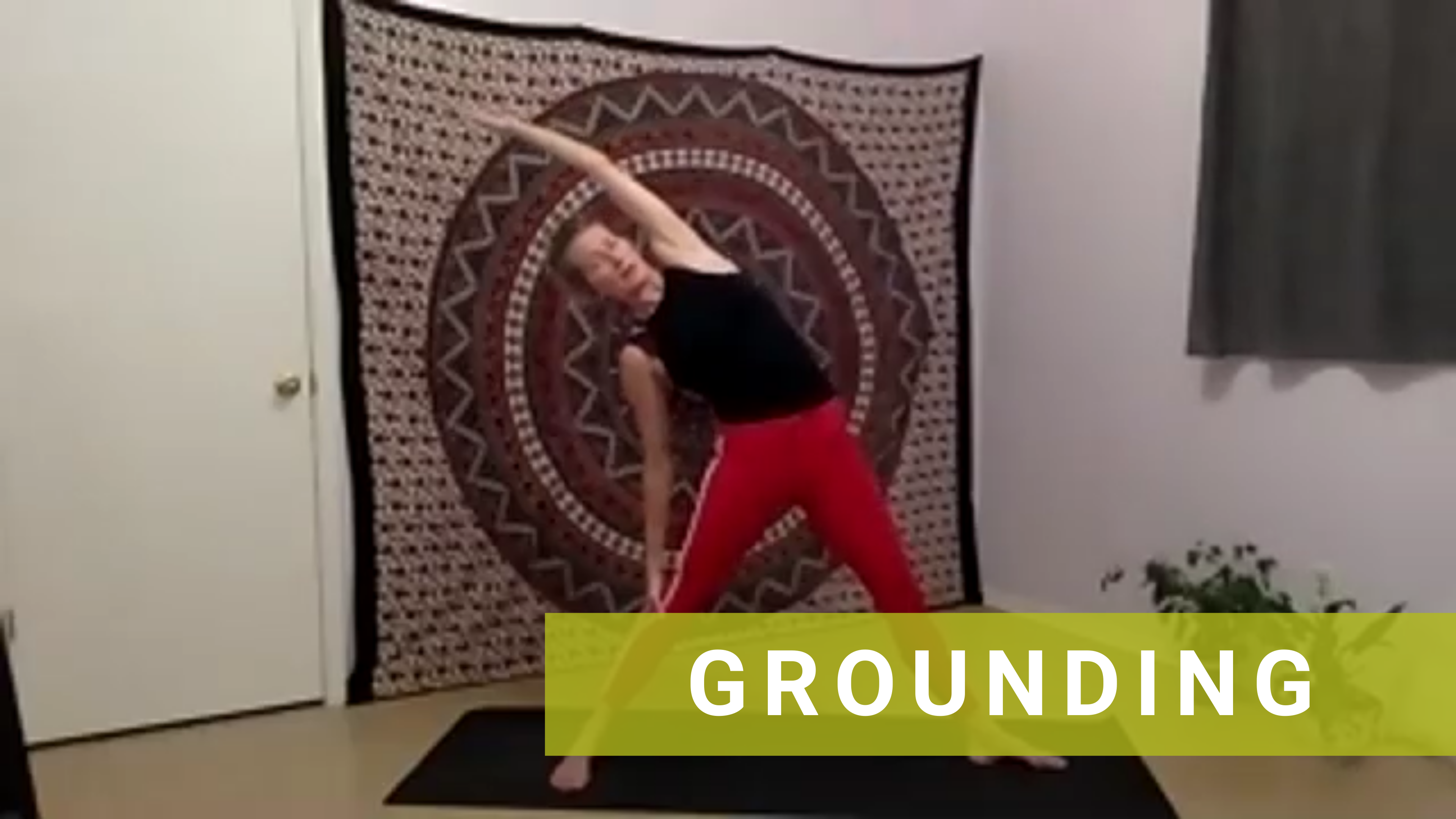 LIVE Hatha Flow with Shannon #1