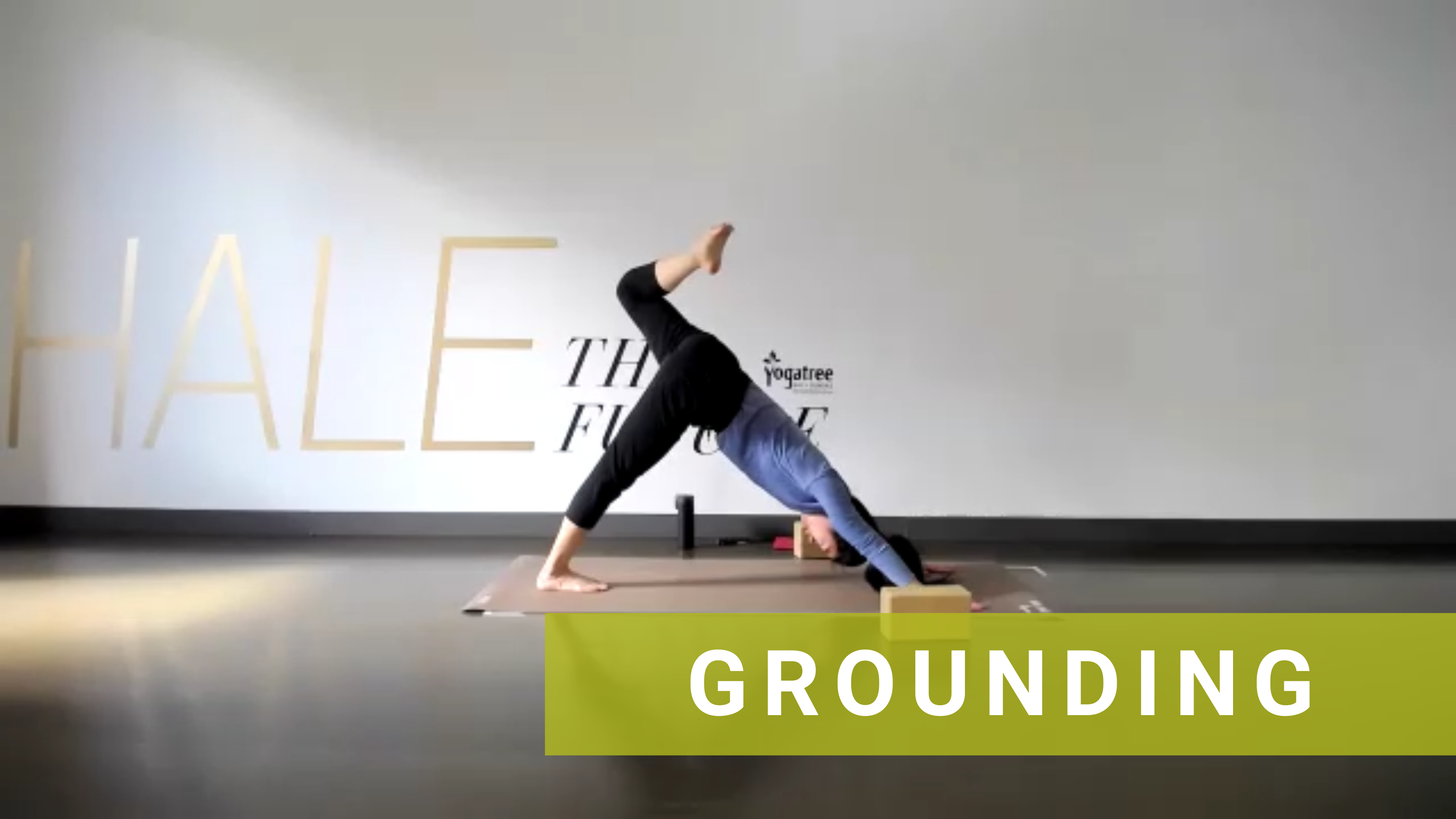 LIVE Yin + Yang with Michelle #1