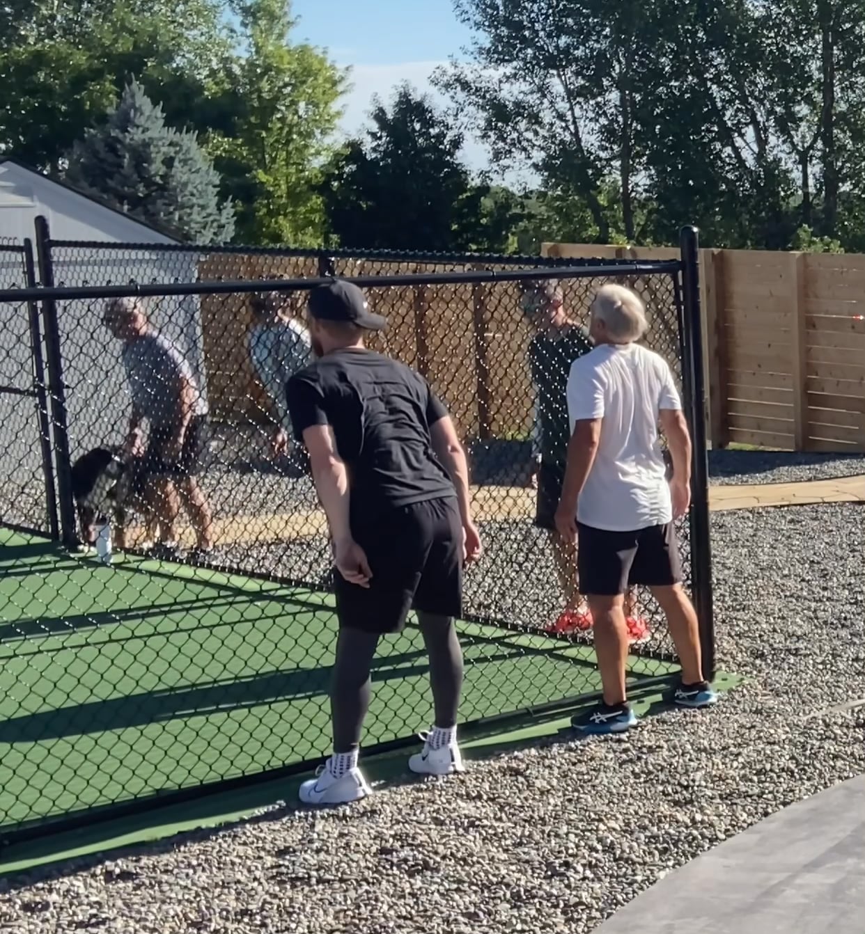 Day 25 - Spinal Waves