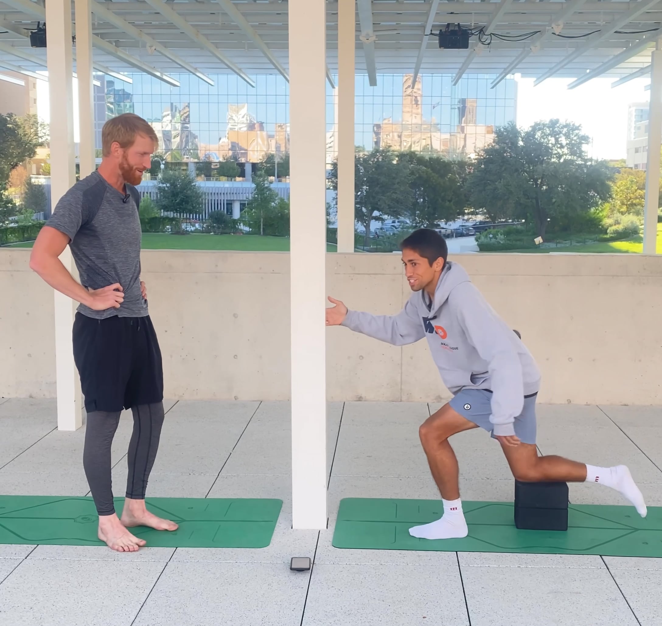 Day 17 - Shrimp Squats