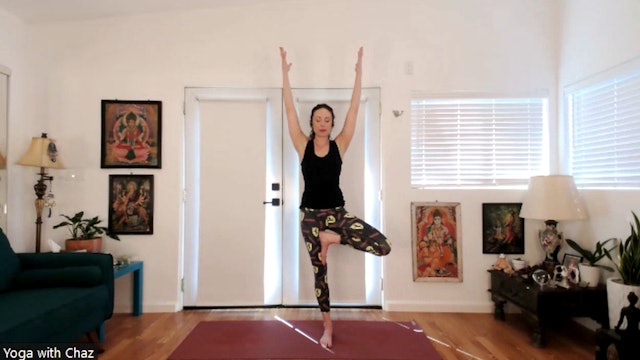 I will not let anyone walk thru my mind with their dirty feet (1 MIN TREE POSE)