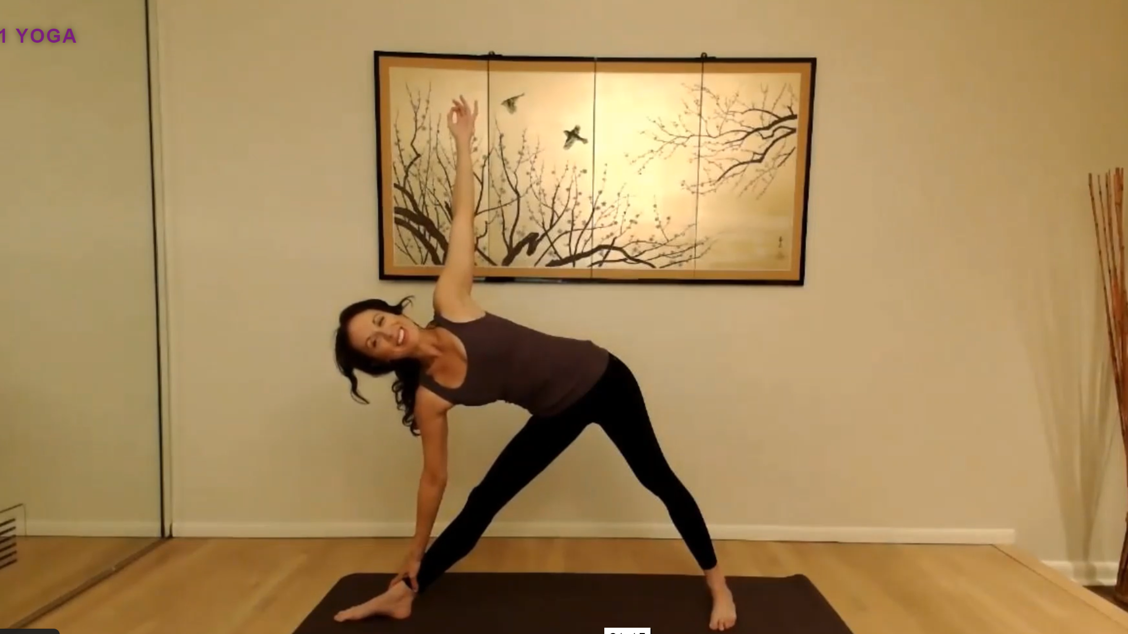 Get the yuck out! (40 minute Flow)