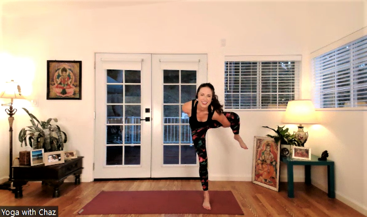 Relax. Nothing is under control (LEANING BIRD OF PARADISE)