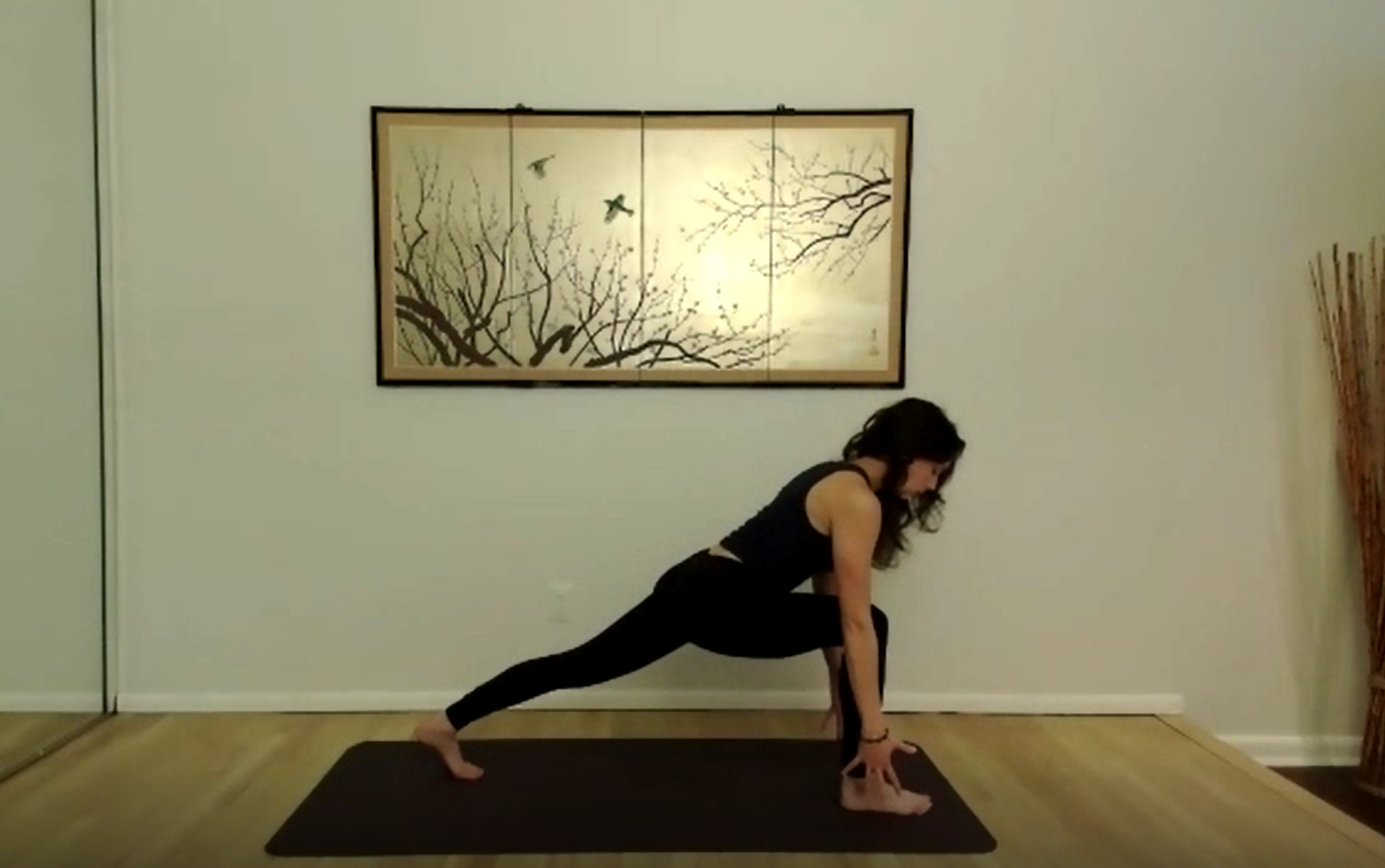 Don't let your rearview get larger than your windshield (BIRD OF PARADISE)