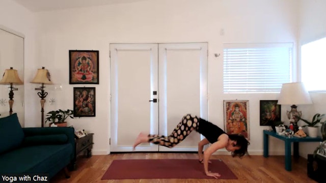 "Blink and you'll miss it." (JUMP BACK INTO CHATURANGA)