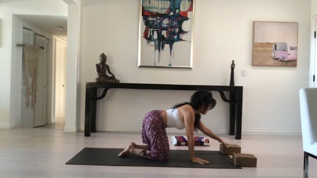 Gentle Vinyasa Level 1 #STAYHOME