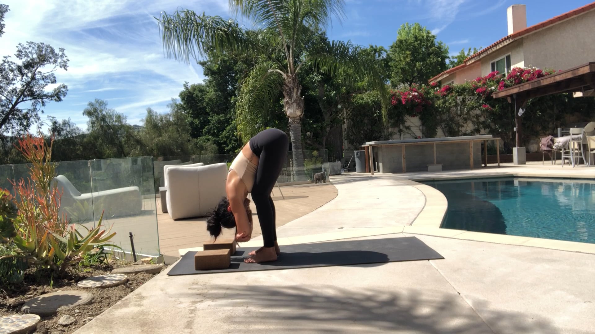 Gentle Vinyasa Level 1