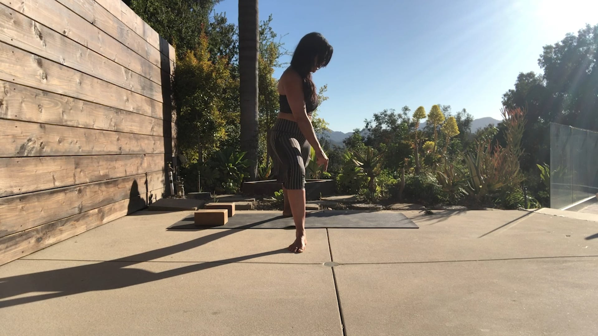 Workshop 2 pt 2,  Intention, Downward Facing Dog, Warrior 2, Pigeon Pose