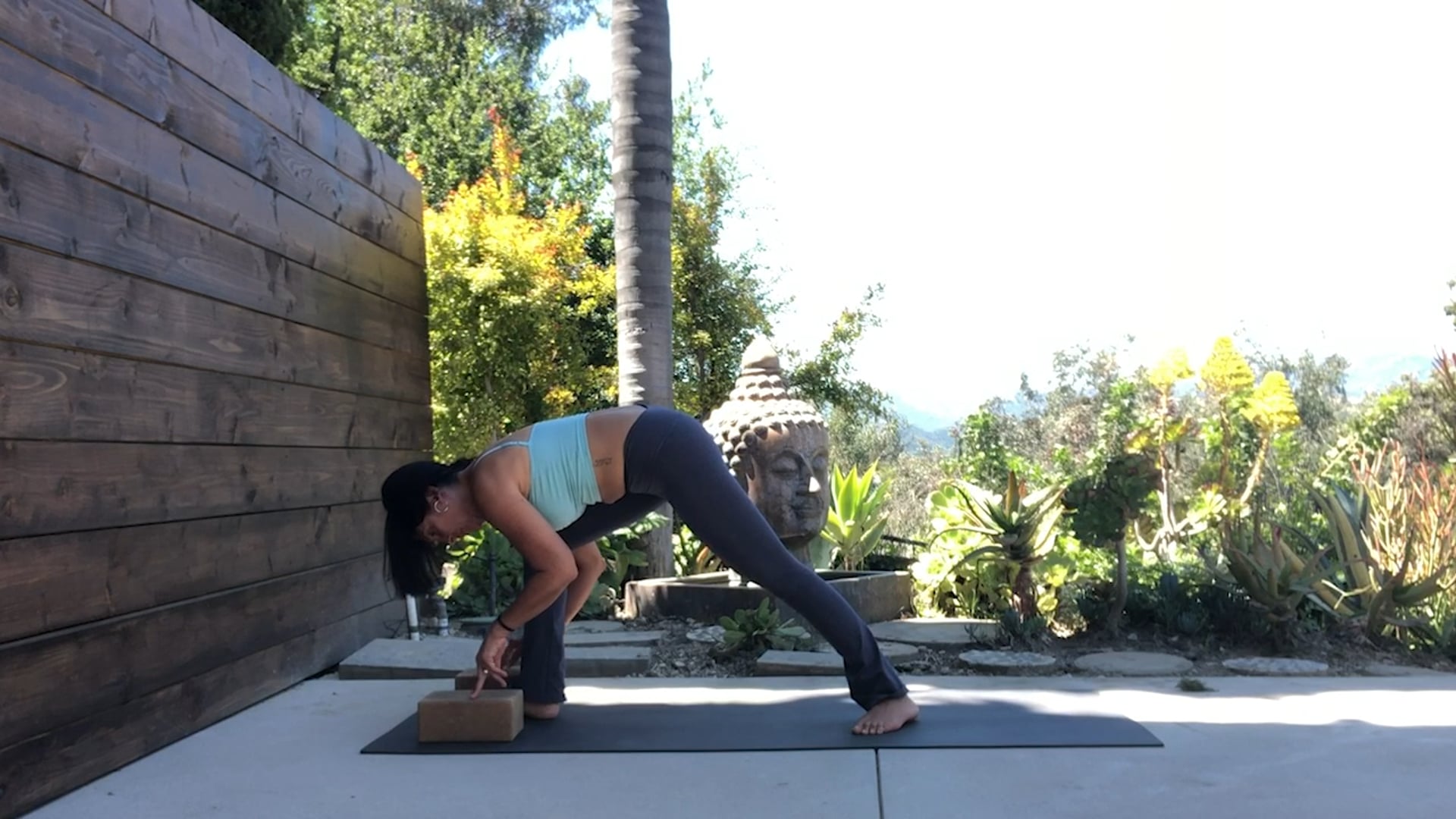 Workshop 3 pt 2, Breath, Plank, Chair, Straddle Fold & Seated Stretch