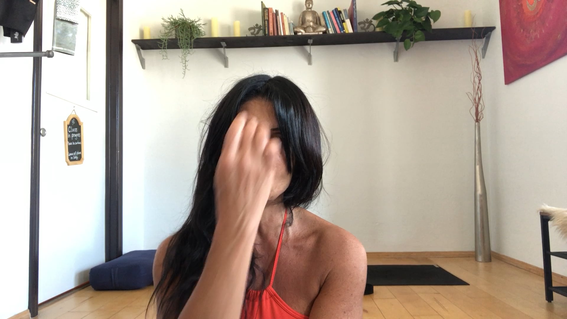 Workshop 11 pt. 2, Monkey Mind, Pyramid, Warrior 3, Hero & Lizard