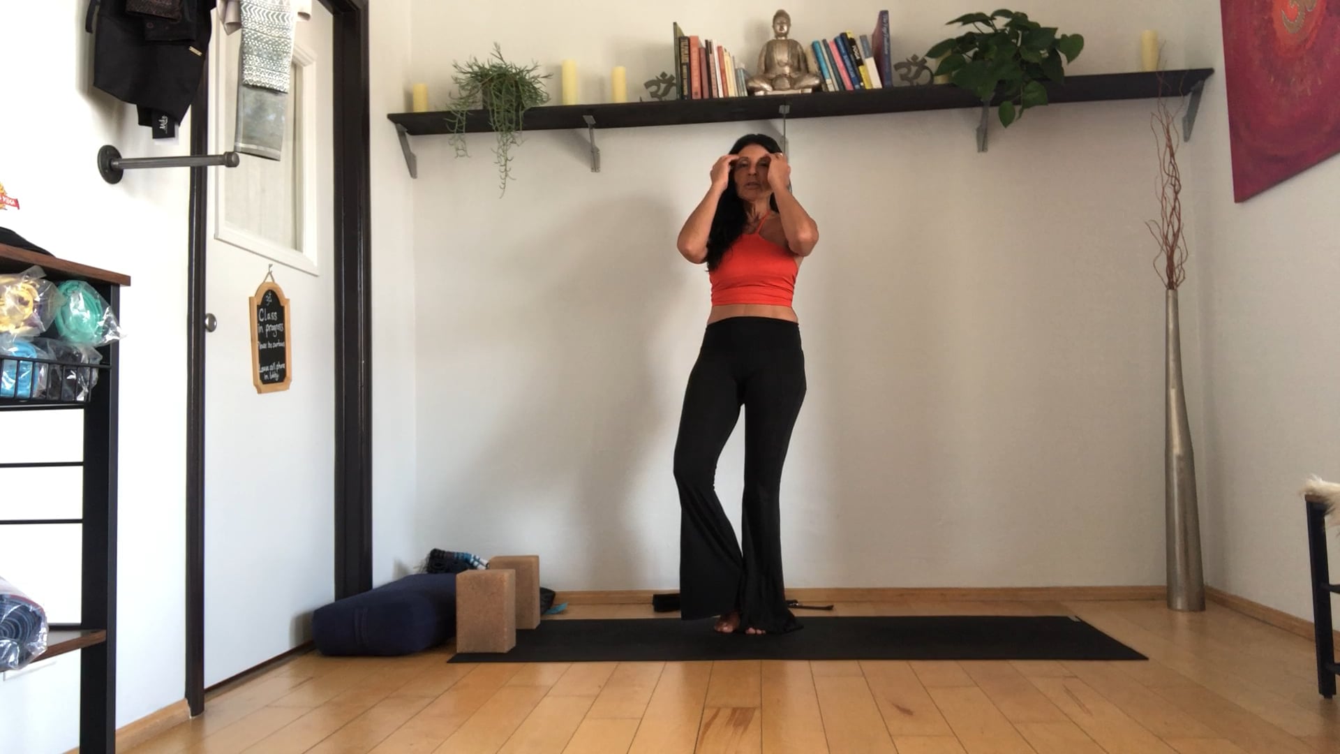 Workshop 12 pt. 2, Drishti, Dancer, Arm/Abs Strength, & Cowface