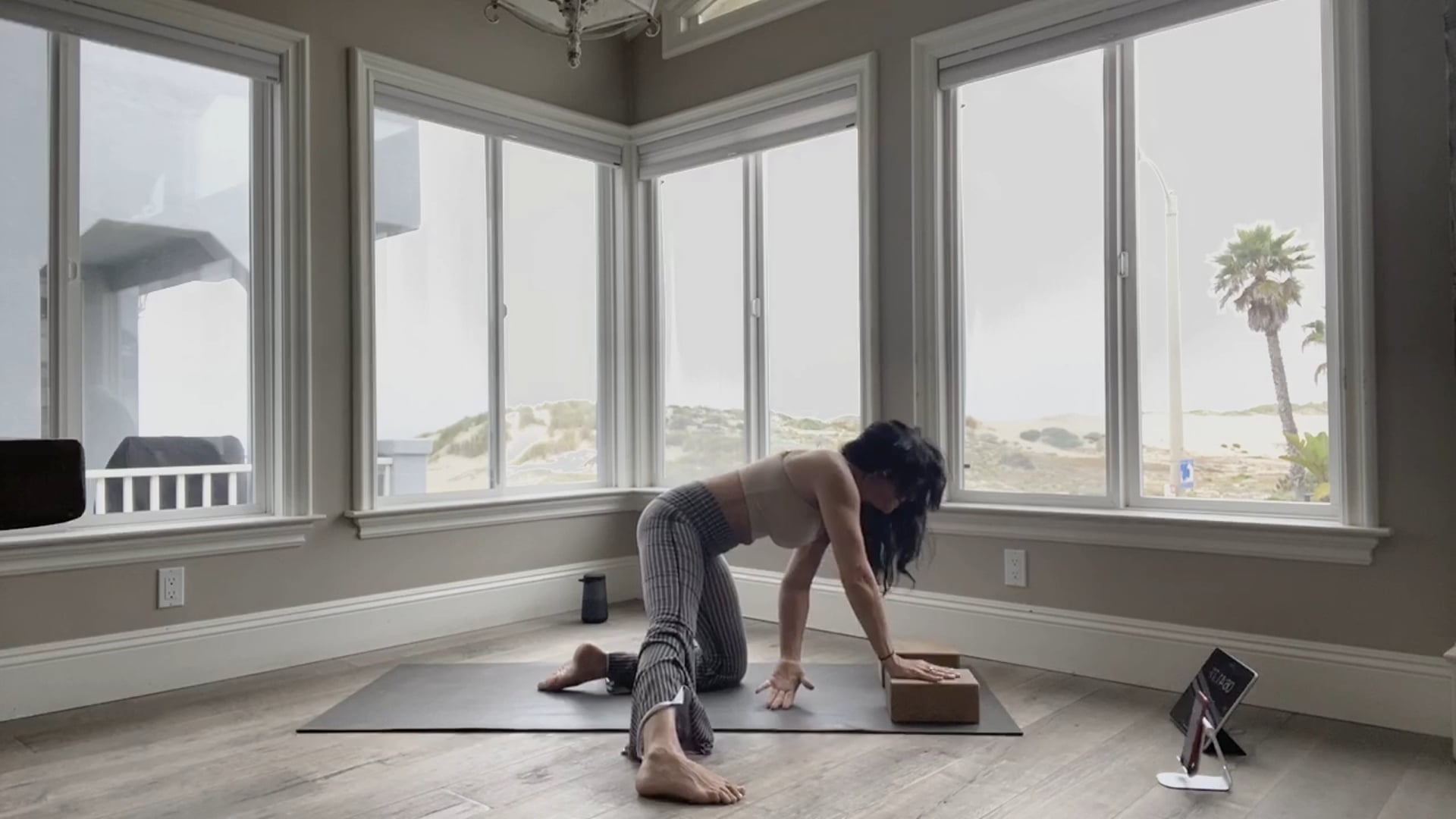 Vinyasa Party w/Music Level 2 