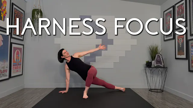Harness Focus