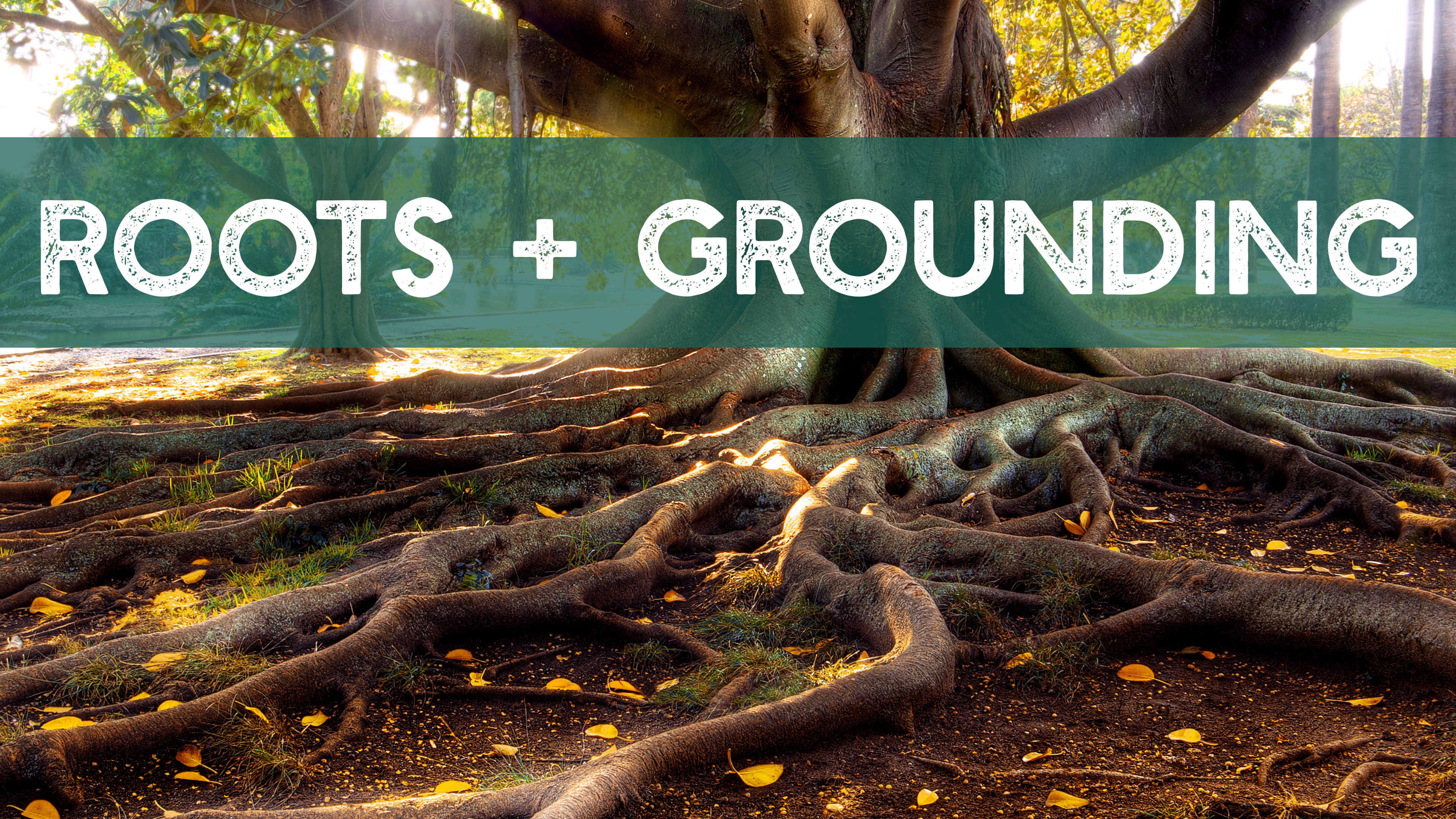 Grounding Practices
