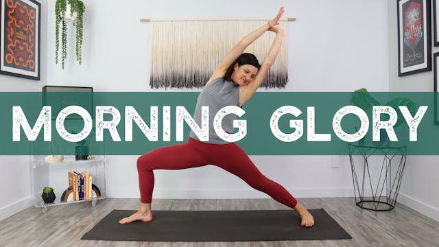 Morning Glory