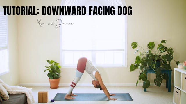 Tutorial: Downward Facing Dog