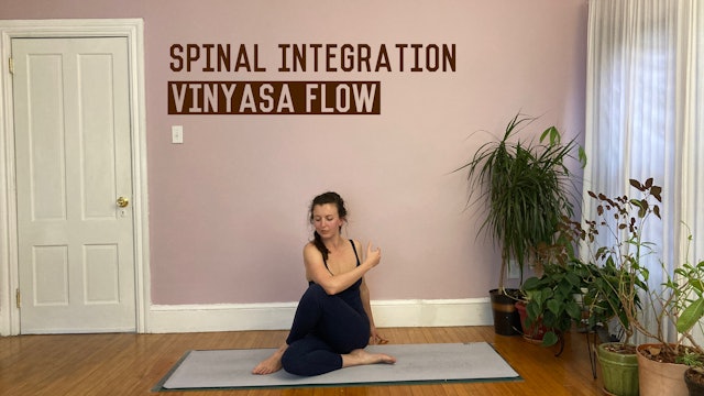 Spinal Integration Flow