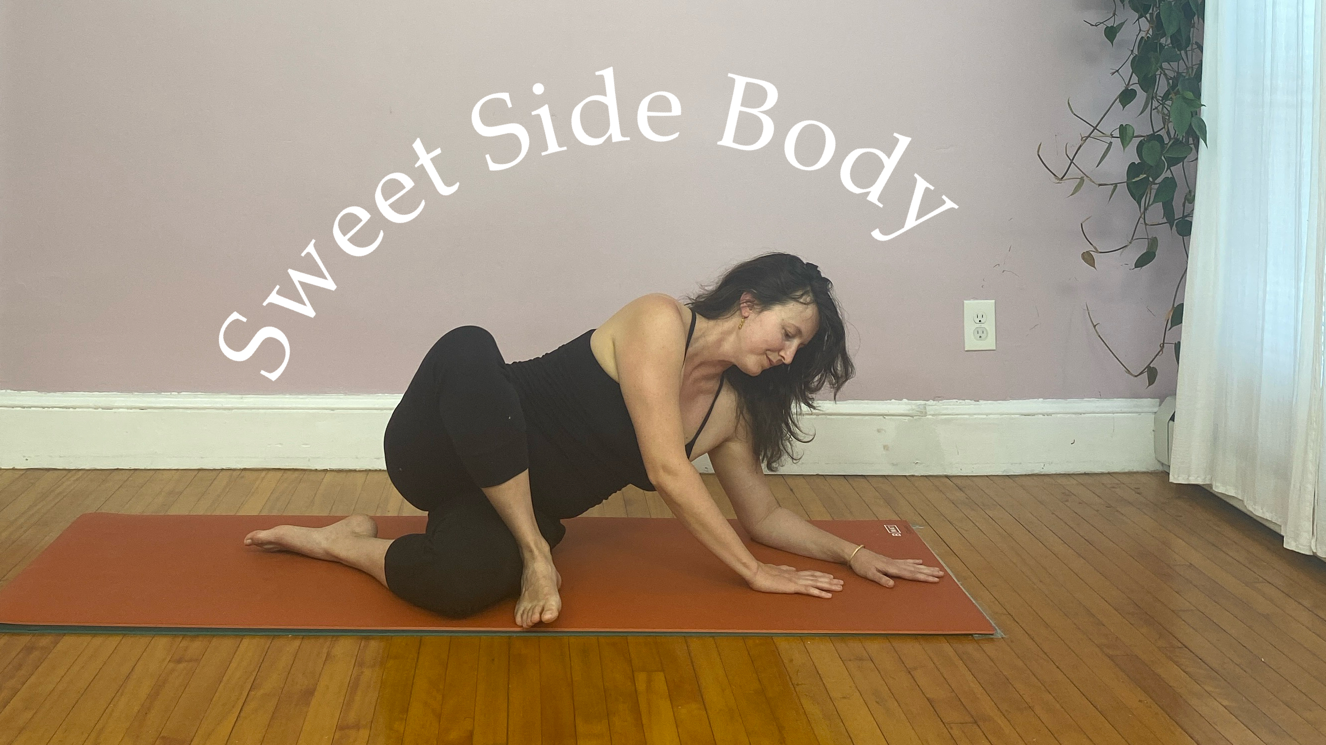 Soft Side Body